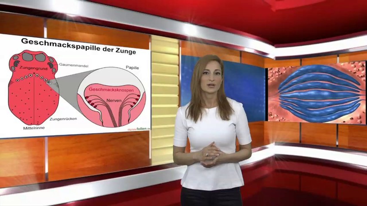 Das Wunder der Zunge