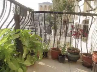 green-pots-arvind-pandit