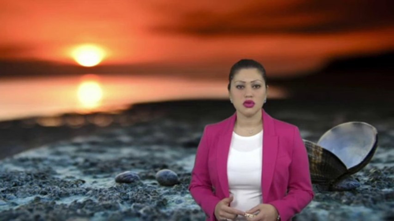 Der Schützenfisch und seine wunderbare Jagdmethode