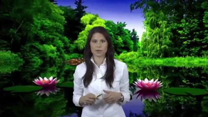 Wie können die Eulen ihre Köpfe 270 Grad drehen