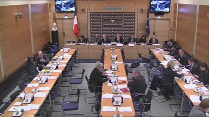 Révision des condamnations pénales - Mercredi 4 Décembre 2013