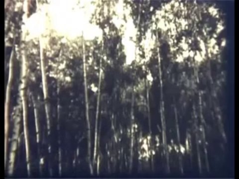 028.Общие свойства P-элементов