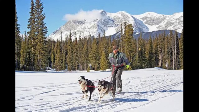 Yoo Hoo! Winter is here again - Time to make the most of the Snow | Winter Sports and Activities