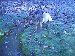 partie de jeu ce matin