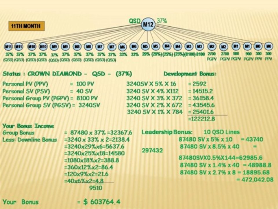 Dxn Marketing Plane
