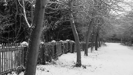 Winter - Holland Park
