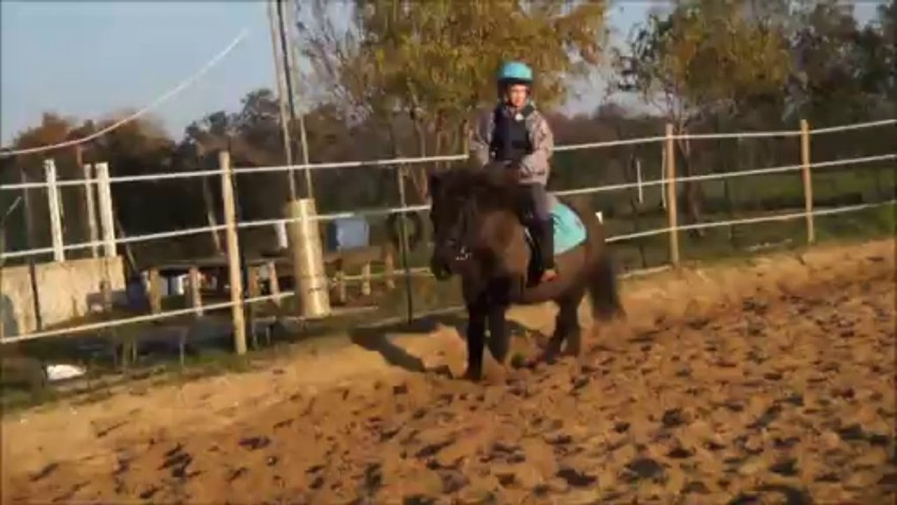 jiji et jade decembre 2013