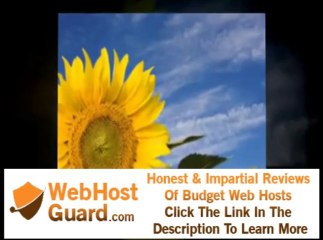 Affordable US Business Hosting And Design Online