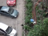 Rusya’da 10. kattan atlayan kedi dört ayağı üzerine düştü