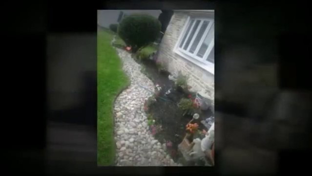 American Green Landscaping (267) 333-3699