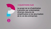 [Questions sur] PJL d'habilitation à prendre par ordonnances diverses mesures de simplification et de sécurisation de la vie des entreprises