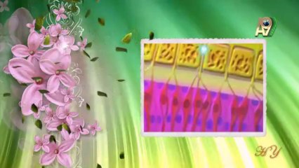 Koku, Allah'ın yarattığı bir nimettir