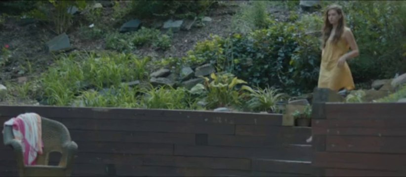 I USED TO BE DARKER - Bande-annonce VO