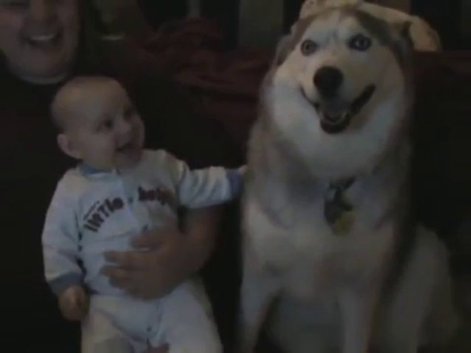 생방송고스톱◀◀▶T O M 5 4. C O M◀▶▶라이브맞고