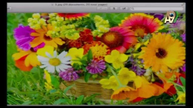 Ebru Altan, Damla Pamir, Gülşah Güçyetmez, Didem Ürer, Didem Rahvancı, Aylin Kocaman, Gülşah Güçyetmez and Beyza Bayraktar's live talk on A9 TV with simultaneous interpretation (Apr. 20, 2013)