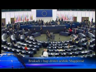 Spektri Info - 05.12.2013