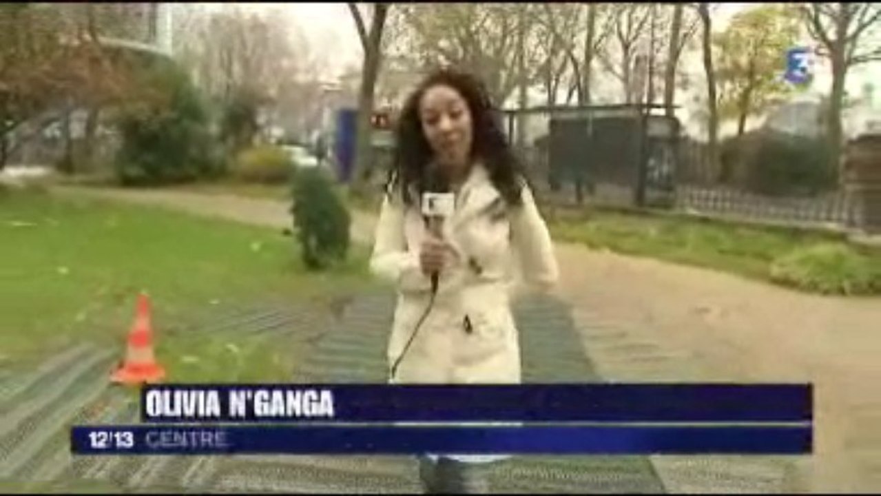 Fée D'hiver : Le bonhomme de neige de Tours a été kidnappé