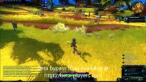 Wildstar: Beta bypass Installer Download