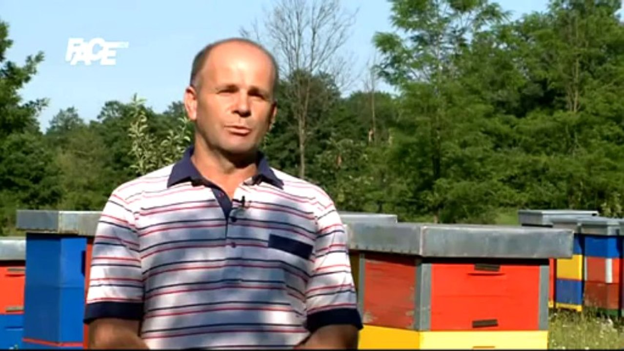 Zemljo moja - Cazin