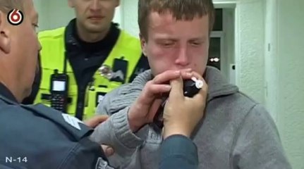 Farai - Šiaulių bachūras