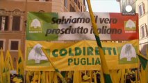 Italian farmers have been protesting in Rome