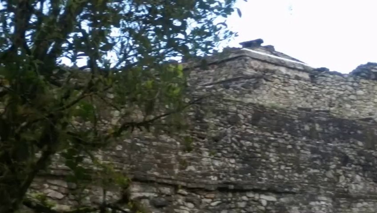 SITE MAYA DE PALENQUE   ÉTAT DU CHIAPAS  (MEXIQUE)  LE 21 NOVEMBRE 2013