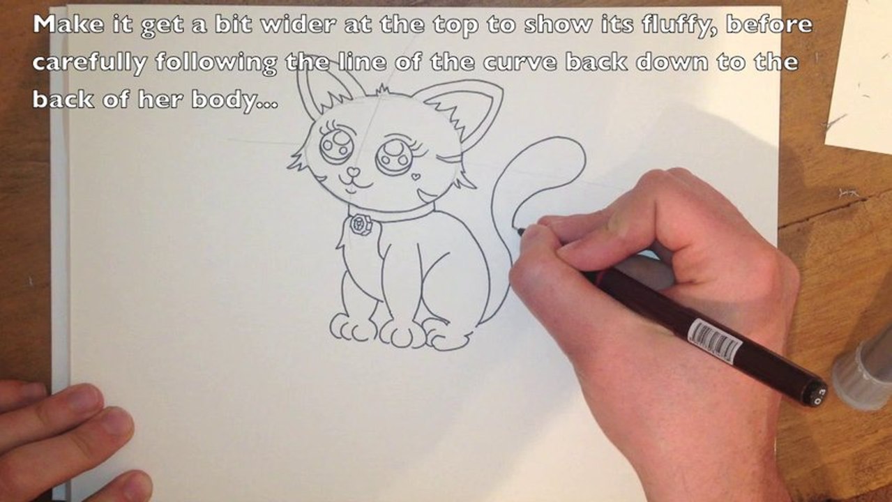 How to Draw a Cat - Easy Step by Step Tutorial