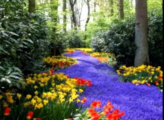 Dünyada heç bir insan maddənin əslini görə bilməz