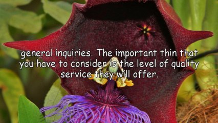 Benefits Of Used Equipment Brokers