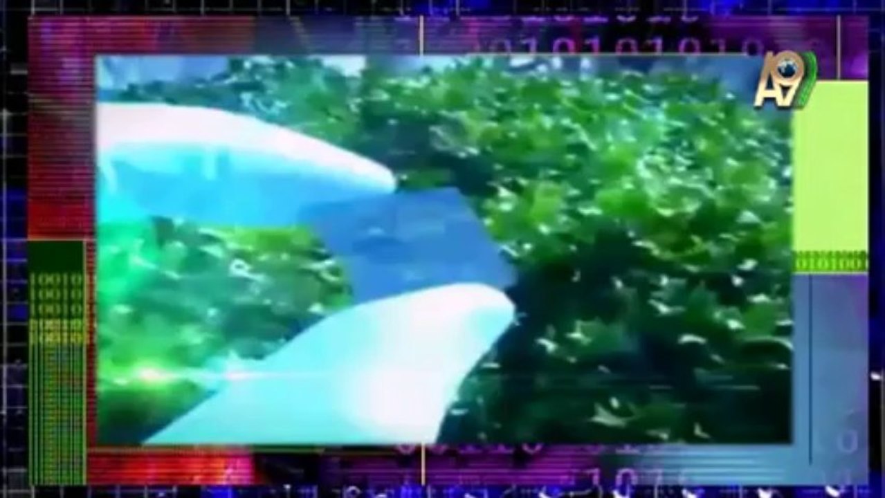 Damla Pamir, Gülşah Güçyetmez, Didem Ürer, Didem Rahvancı, Ceylan Özbudak, Beyza Bayraktar, Ayşe Koç ve Beril Koncagül'ün A9 TV'deki canlı sohbeti (25 Şubat 2013; 14:00)