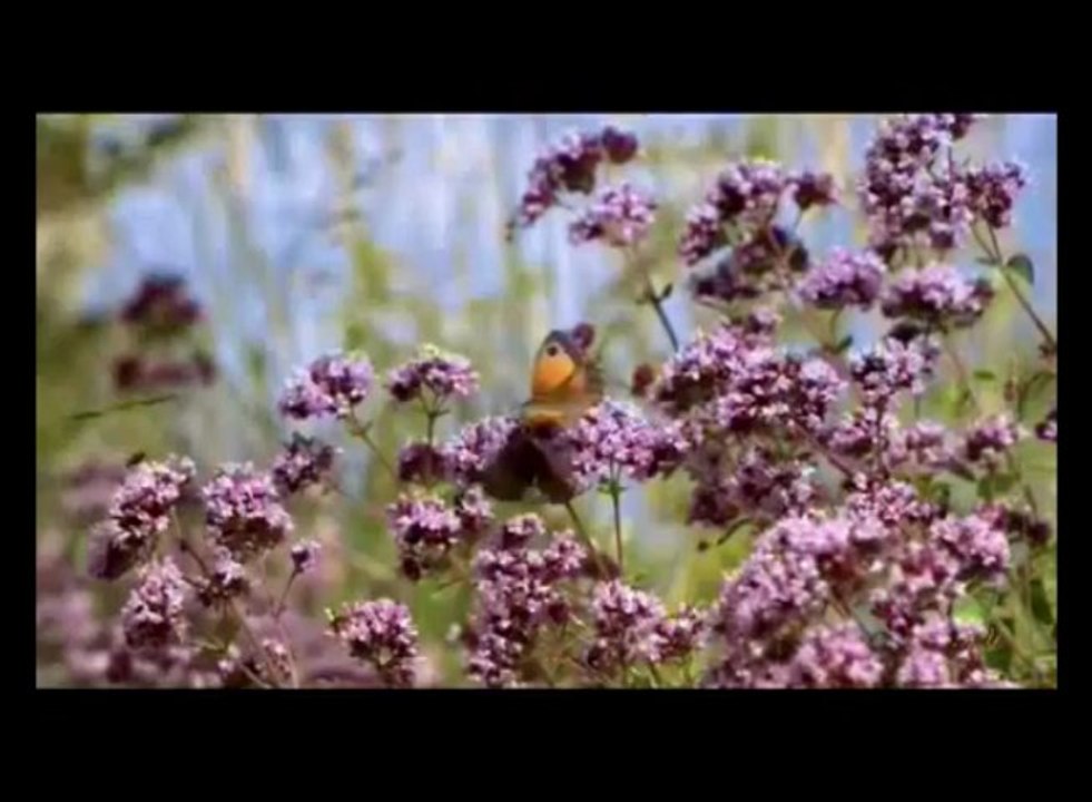 Bunları bilirdinizmi?