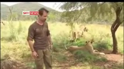 video-20131119-451626