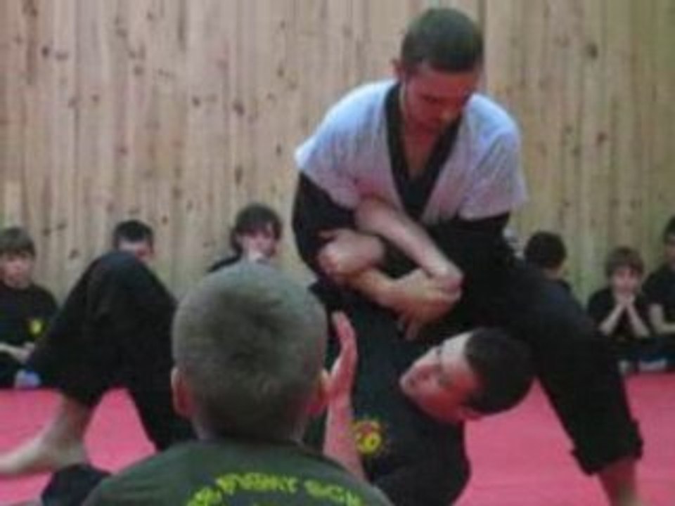 association française de jeet kune do