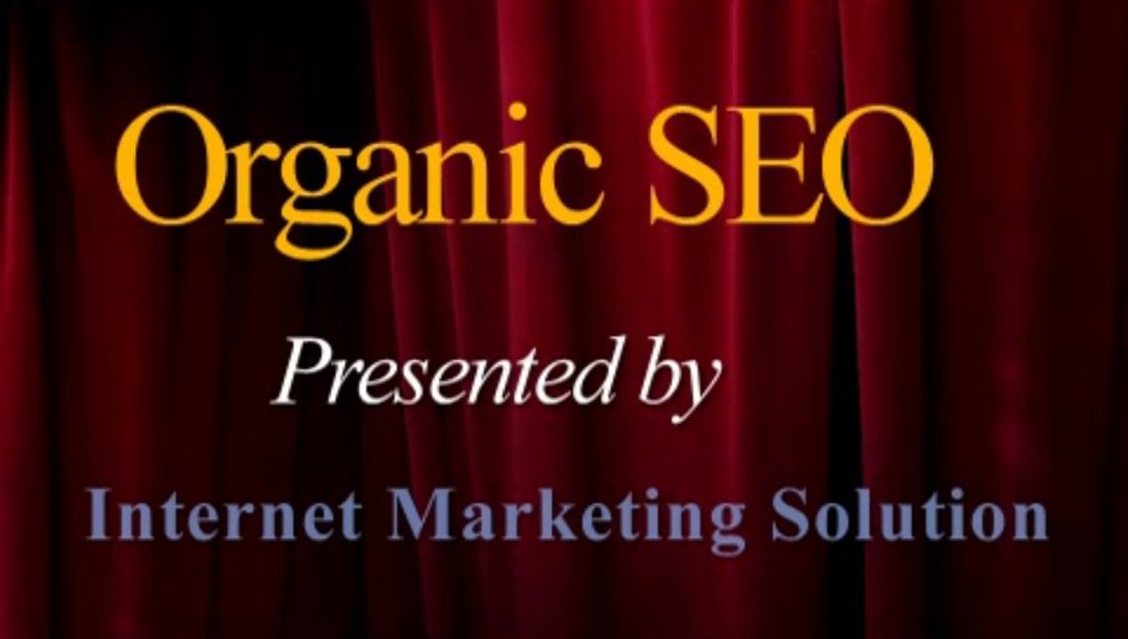 Seo in india seocompany india best seo in india by internet marketing company IMS