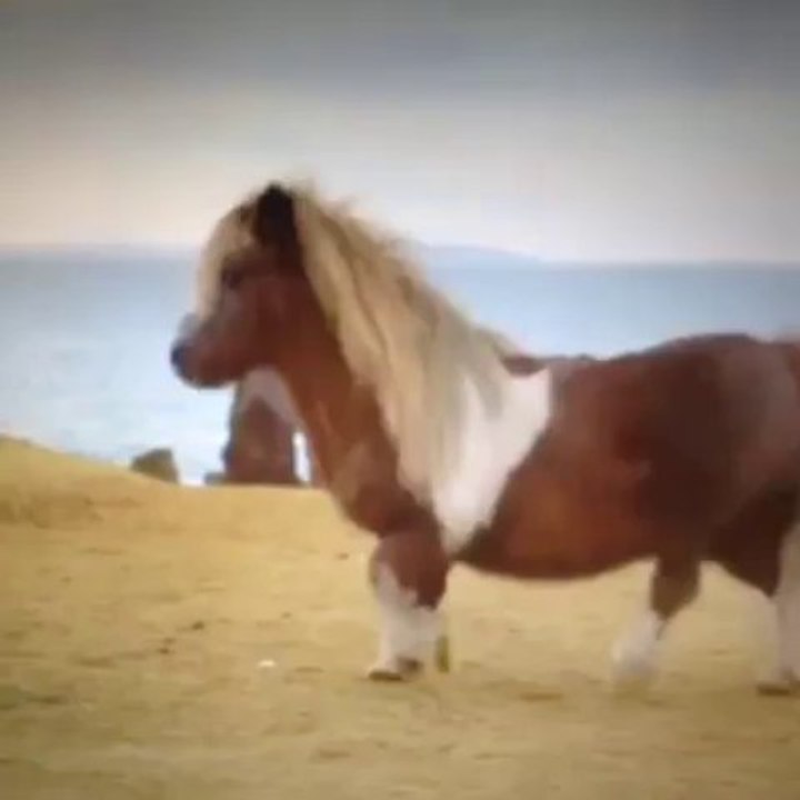 Making my way downtown