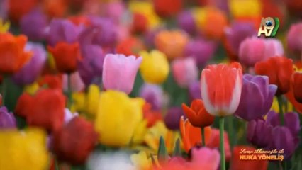 Serap Akıncıoğlu ile Nur'a Yöneliş - 8. Bölüm (Batıni Tefsir Tehlikesi)