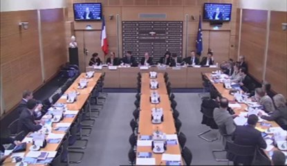 Table ronde sur les projets de loi constitutionnelle relatifs à la démocratie sociale  - Jeudi 11 Avril 2013