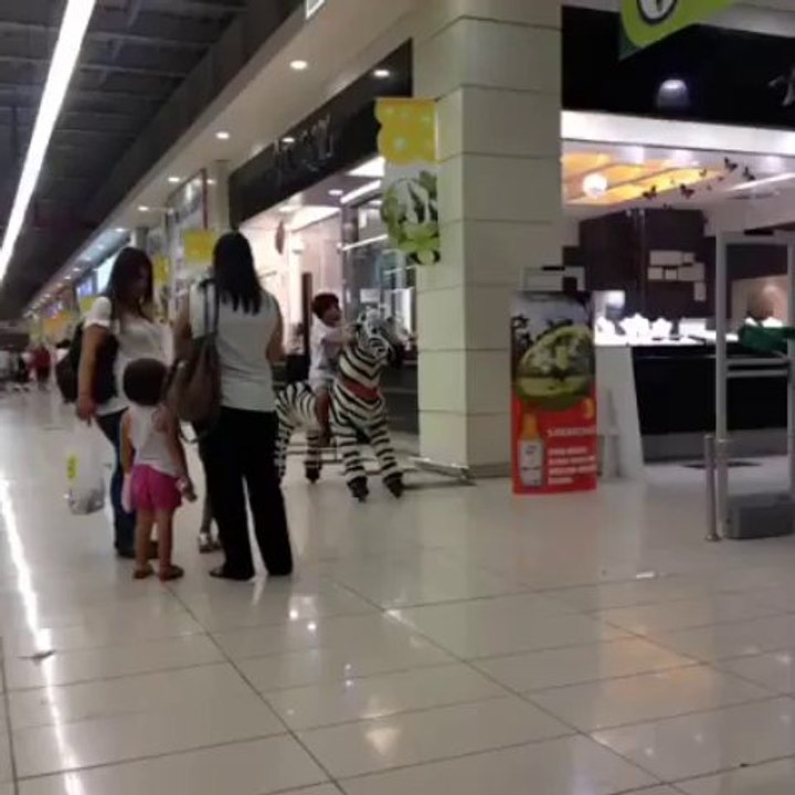 What the...