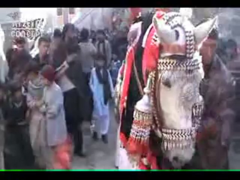 SYED ABBAS HAIDER 22 SAFAR CHEHLAM KOTEHRA 2013 P2