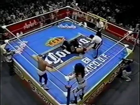 Rey Mysterio/ Hijo del Santo/ Octagon vs. Psicosis/ Blue Panther/ Fuerza Guerrera - AAA 7/15/94