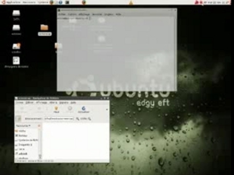 ubuntu edgy eft + beryl : pluie, alt+tab