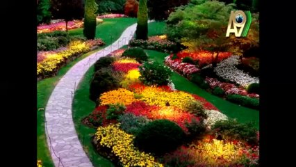 Excellent Muslim Women Our Mother Hazrat Aisha's (ra) - 2-