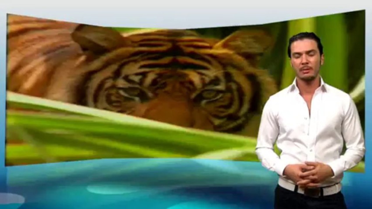 Wie beherrschte Darwinismus die Welt