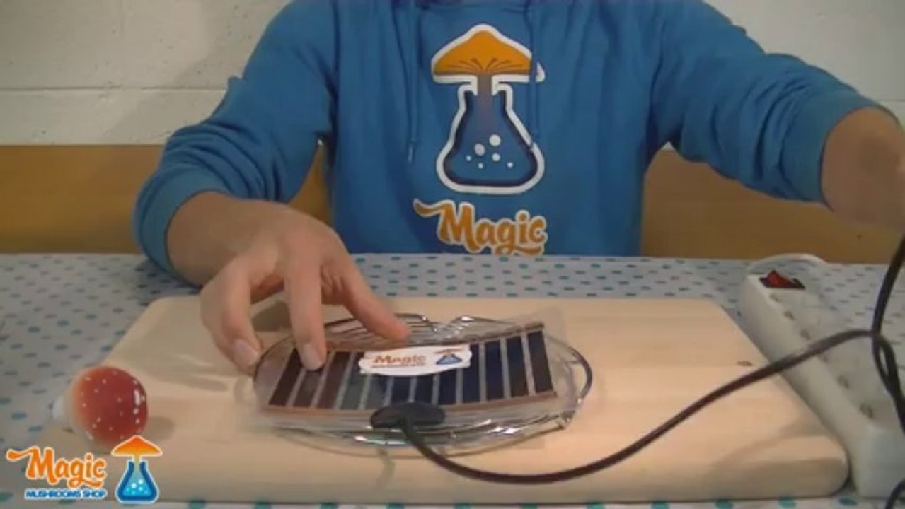 Heating Pad / Thermo mat for Magic Mushrooms Grow Kit video Dailymotion