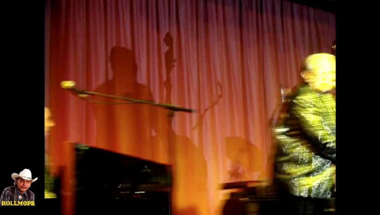 THE COMETS BILL HALEY 2008 039