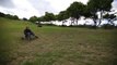 Karting sur l'herbe... Ils descendent une colline à fond!