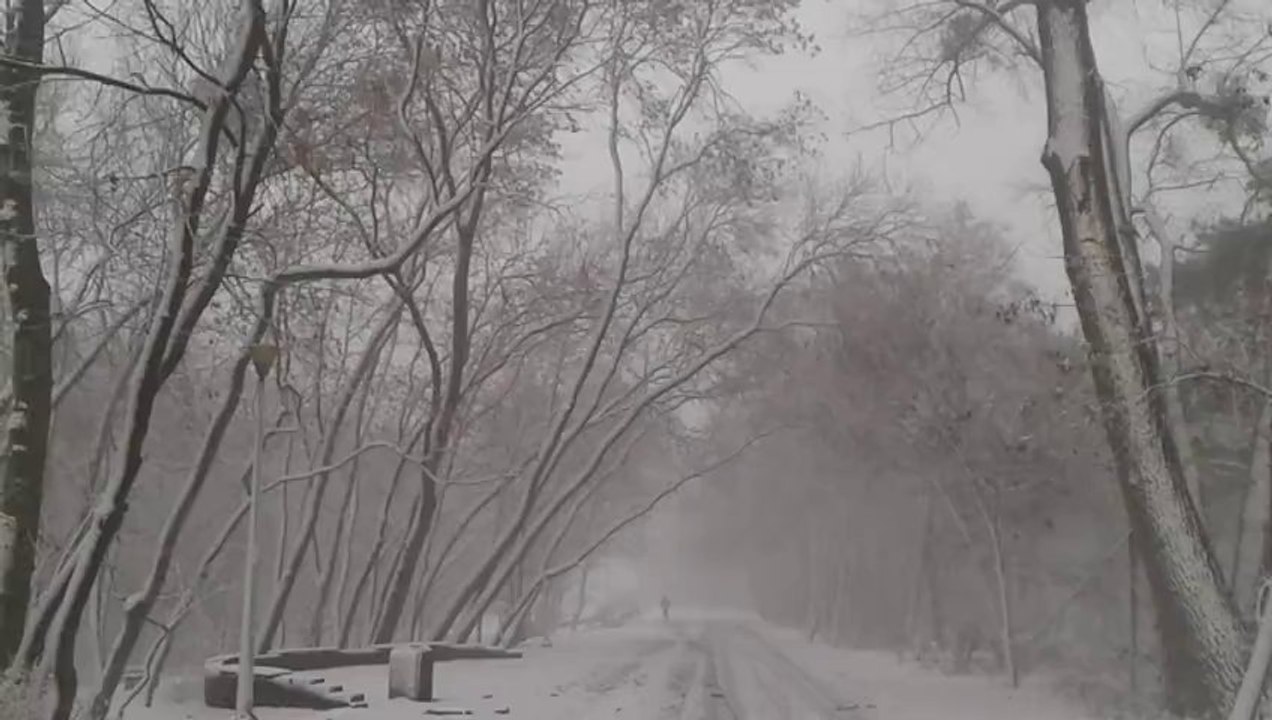 20131206_103536