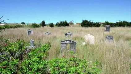 Nelson Mandela est mort, le monde pleure