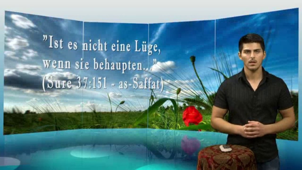 Teil 4 Das Fossil eines Trilobiten