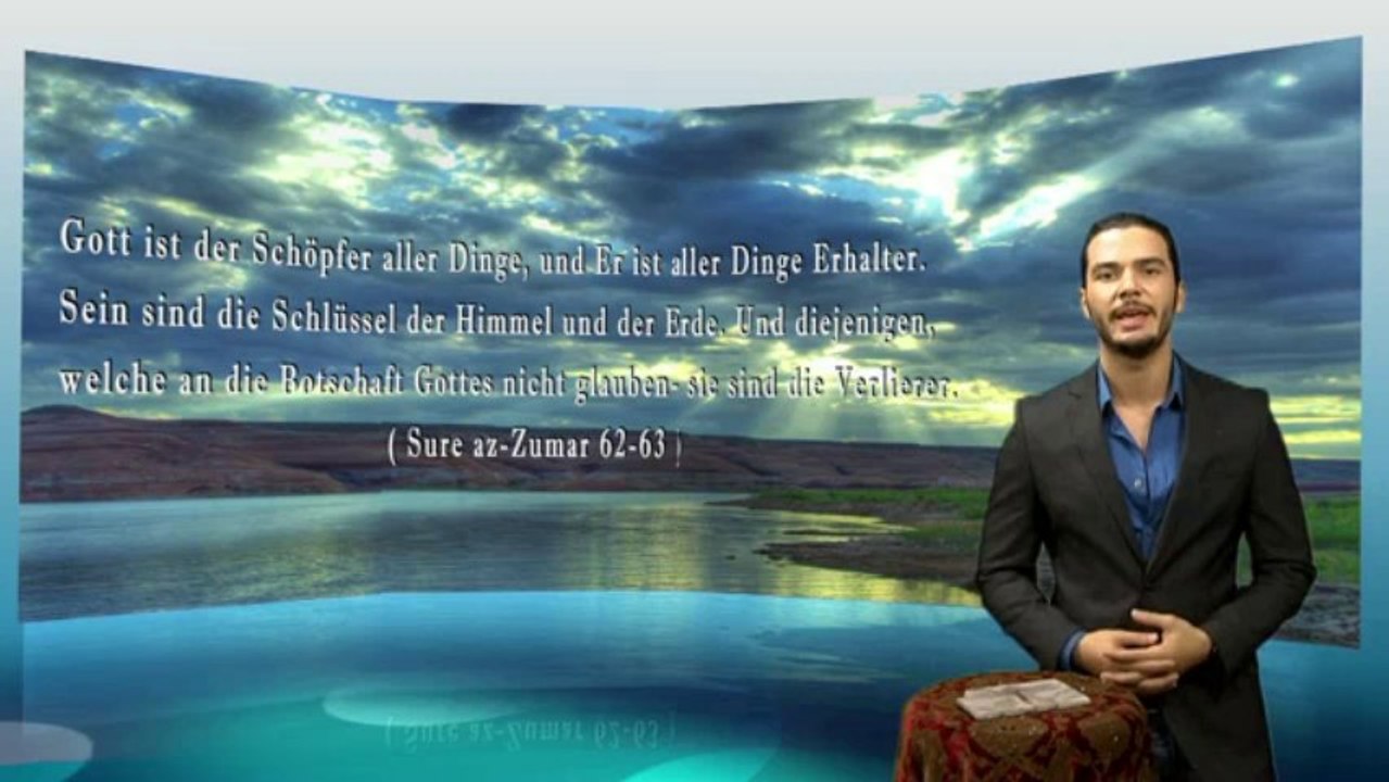 Teil 2 Das Fossil einer Libelle